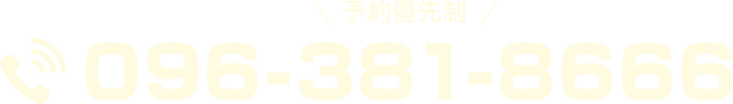 電話番号：096-381-8666
