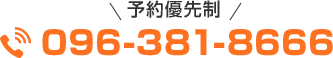電話番号：096-381-8666